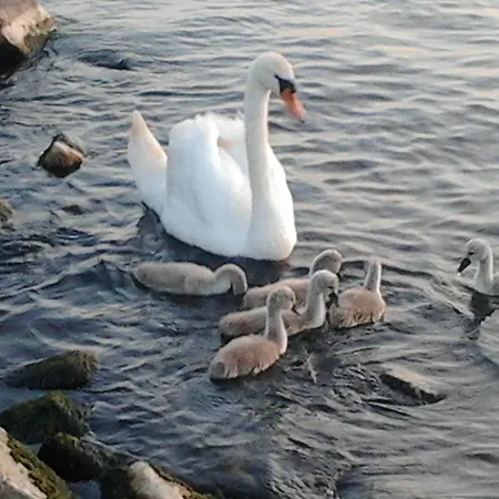 بيت للعطل Napsugar Nyaralo