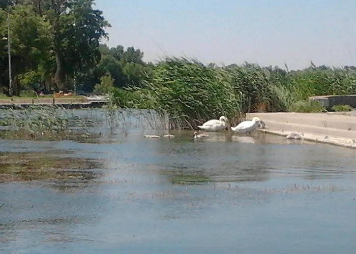 Napsugar Nyaralo * Fonyód