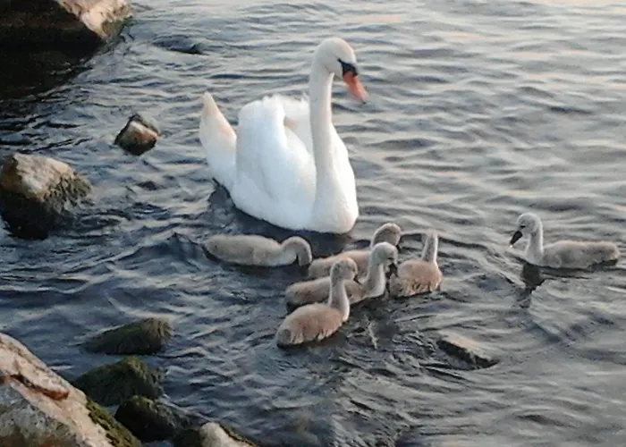 Feriehus Napsugar Nyaralo