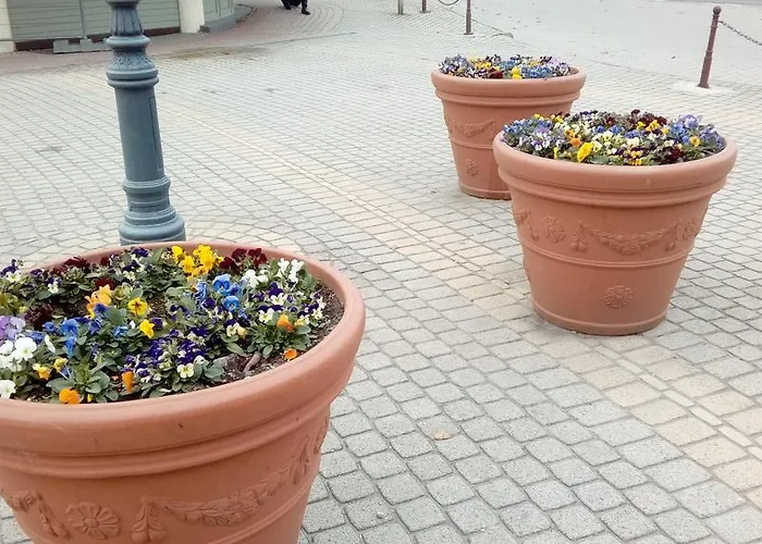 Feriehus Napsugar Nyaralo